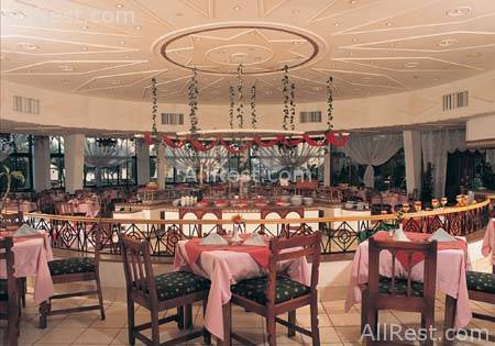 Beach Albatros Hotel 8